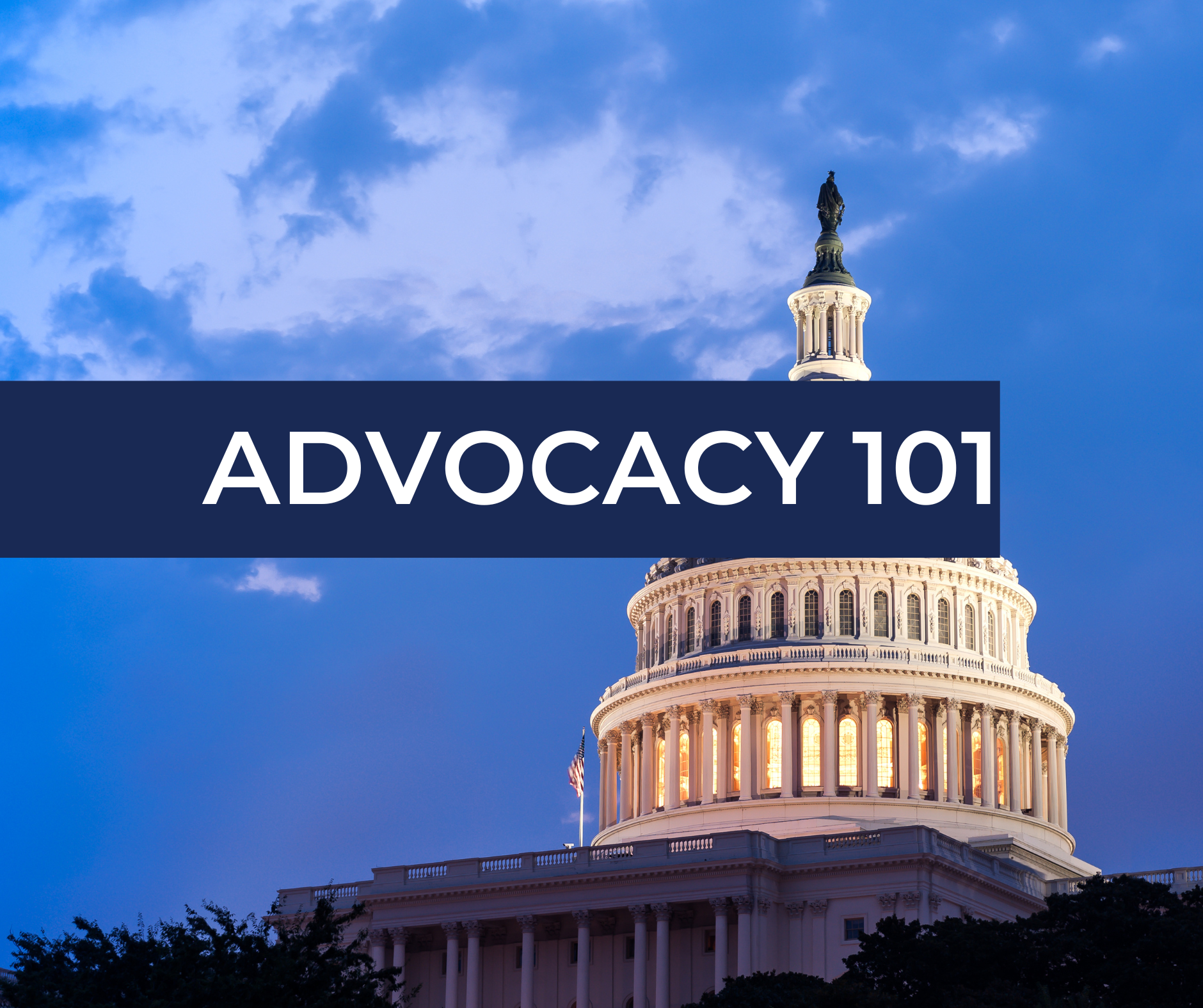 Advocacy 101