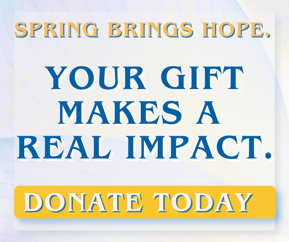 Website tiles spring fundr title | UNWLA - Ukrainian National Womens League of America